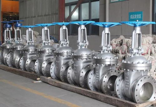 良工閥門(mén)集團(tuán) 高端不銹鋼閥門(mén)系列產(chǎn)品的卓越制造商