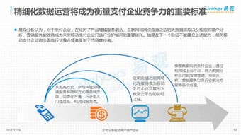 2017年第三方支付行業(yè)報(bào)告 洞察行業(yè)發(fā)展，把握未來機(jī)遇